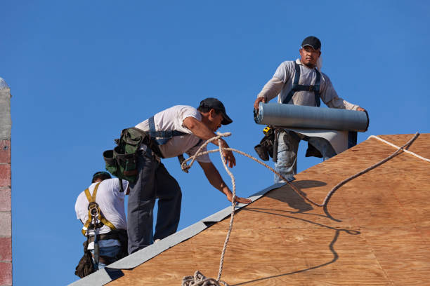 Best Storm Damage Roof Repair  in Versailles, KY